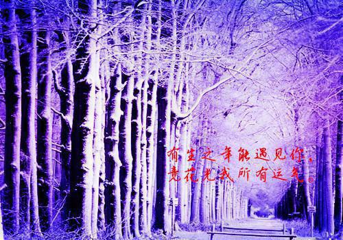 经典童话：奇异的雪