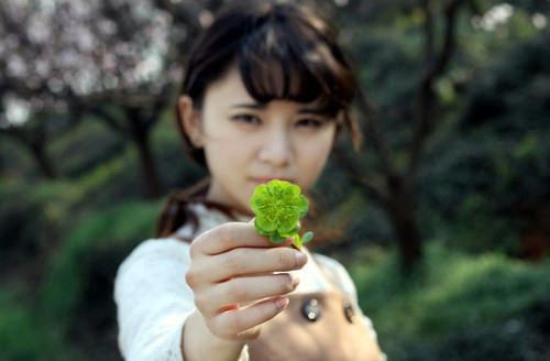 有哪些虎年过春节适合贴的春联