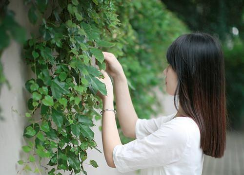 社会工作专业毕业实习报告范本